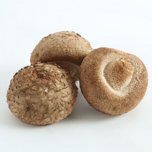 (양양킹버섯) 무농약 친환경 상급 생 표고버섯 (1KG, 2KG, 3KG, 5KG, 10KG)