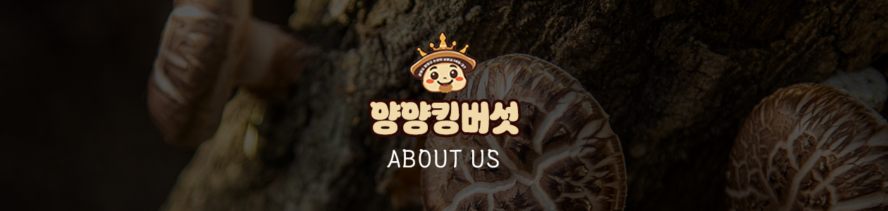 회사 이미지